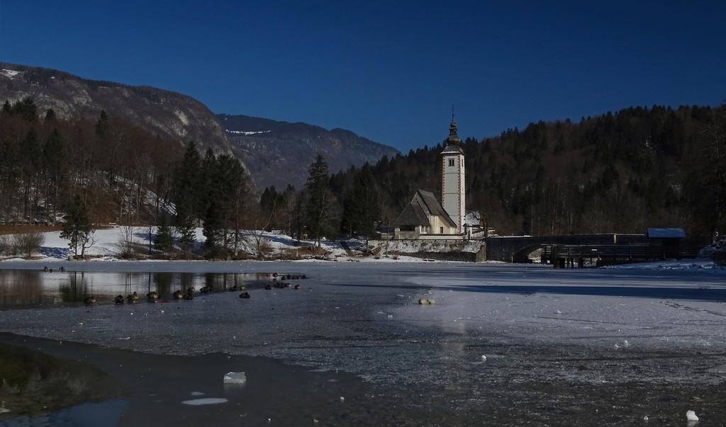 Apartmaji Pri Marodnu Bohinj Exteriör bild