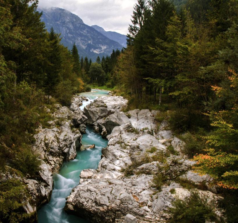 Apartmaji Pri Marodnu Bohinj Exteriör bild