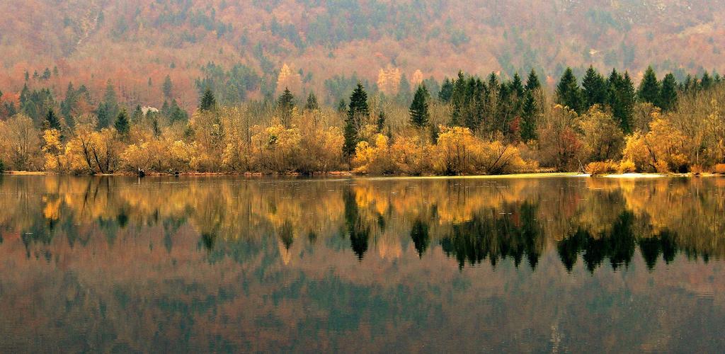 Apartmaji Pri Marodnu Bohinj Exteriör bild